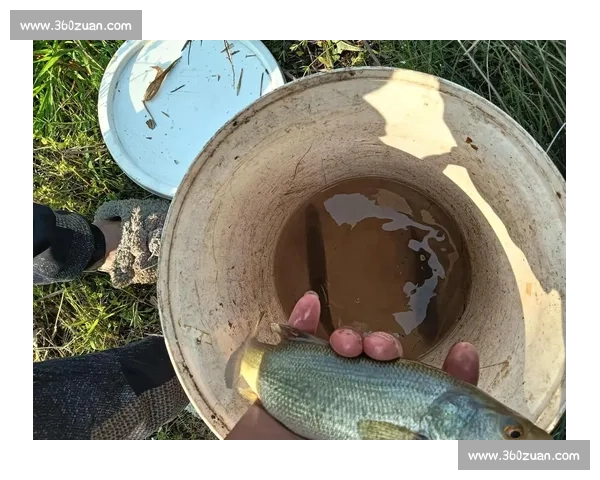 手杆钓鱼比赛技巧与策略分析提升竞技水平的实战经验分享